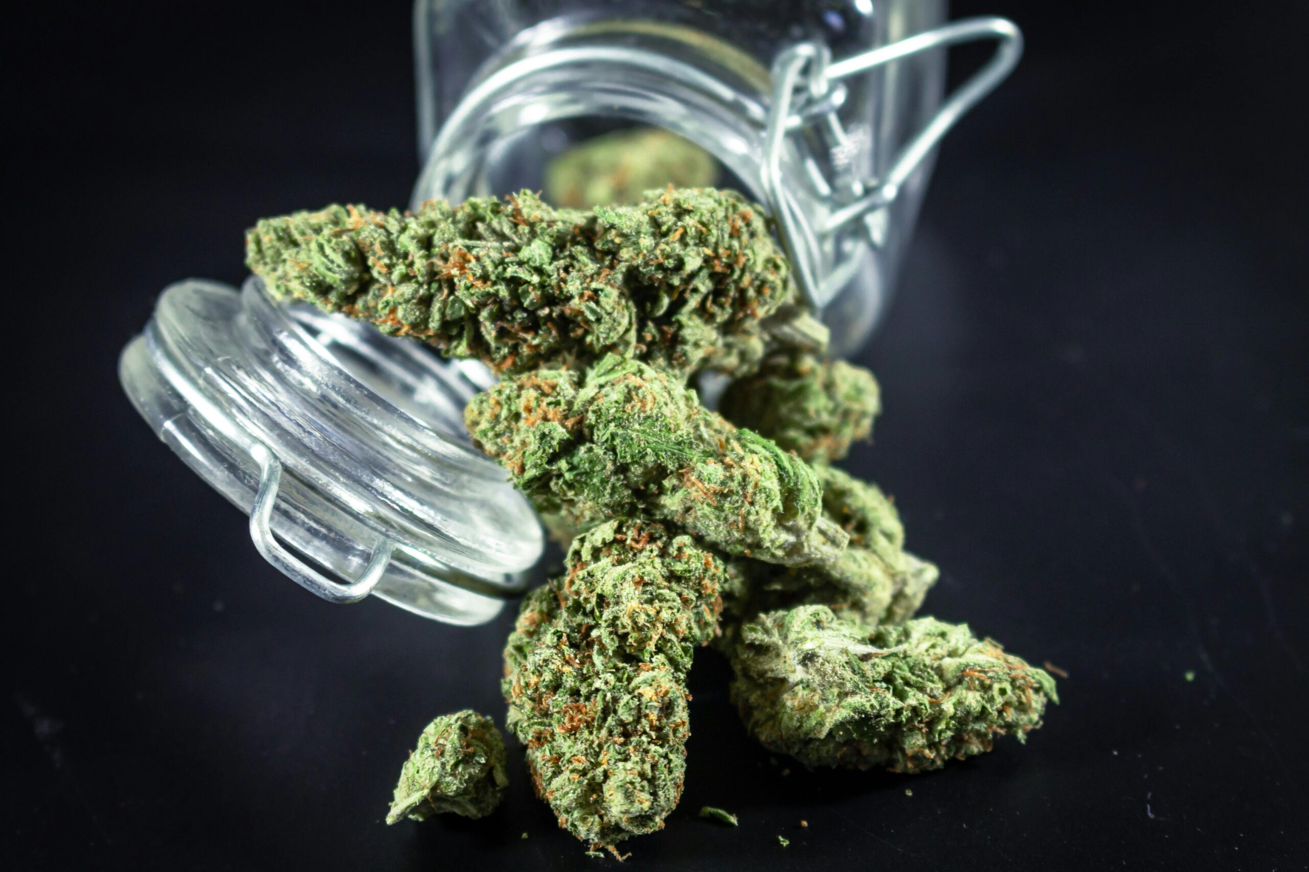 Mai Tai strain indica or sativa