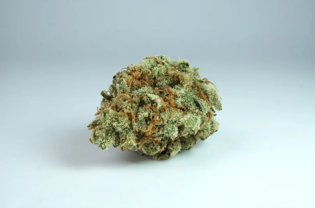 A clean, studio macro photograph showcasing a single, dense cannabis bud centered against a seamless light grey background. The flower features a frosty light-green texture heavily coated in milky-white trichome resin crystals, with delicate, fiery orange pistils (hairs) woven intricately throughout its compact shape. The bright, neutral lighting highlights the detailed trichome structures and rich organic textures of the cured flower, creating a polished product shot ideal for dispensary menus, botanical studies, or strain reviews.