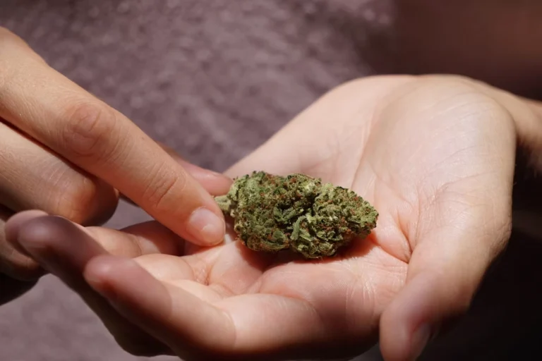 A close-up, warm-toned photograph capturing two hands gently cupping a single, dense cannabis flower bud. The bud rests in the palm of one hand while an index finger from the other hand lightly touches its edge. The flower displays a rich green hue speckled with fine amber-orange pistils and frosty trichomes. Natural daylight highlights the detailed texture of the skin and the cured flower against a soft, out-of-focus background.