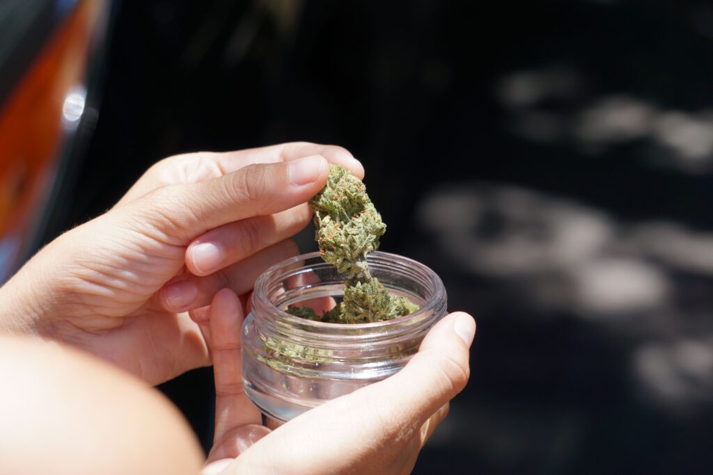 west milford dispensaries, northern nj cannabis strains, best passaic county dispensary, terpene profiles for hiking, adult-use flower route 23